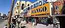 IMG_20211007_132931.jpg