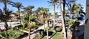 IMG_20211007_142616.jpg