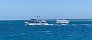 IMG_20211008_091130.jpg