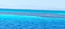 IMG_20211008_112305.jpg
