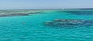 IMG_20211008_121525.jpg