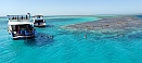 IMG_20211008_122205.jpg