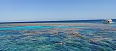 IMG_20211008_123756.jpg