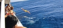 IMG_20211008_124624.jpg