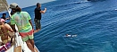IMG_20211008_124958.jpg