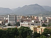 P5160139.jpg