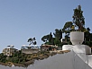 P5180646.jpg