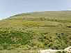 P5190751.jpg