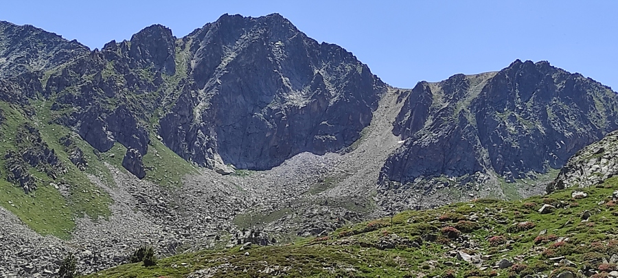 IMG_20210709_123858.jpg