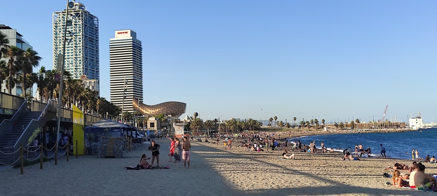 IMG_20210710_194304.jpg