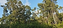 IMG_20240126_173440.jpg