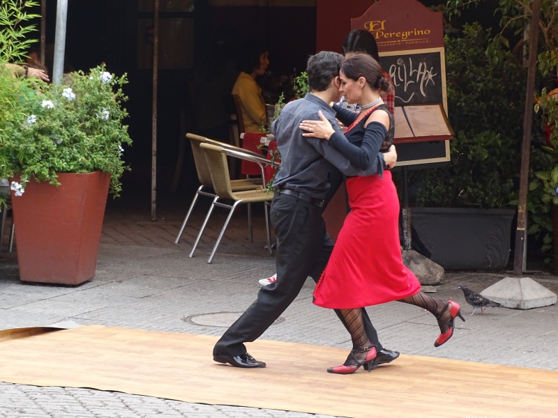DSC02315.jpg