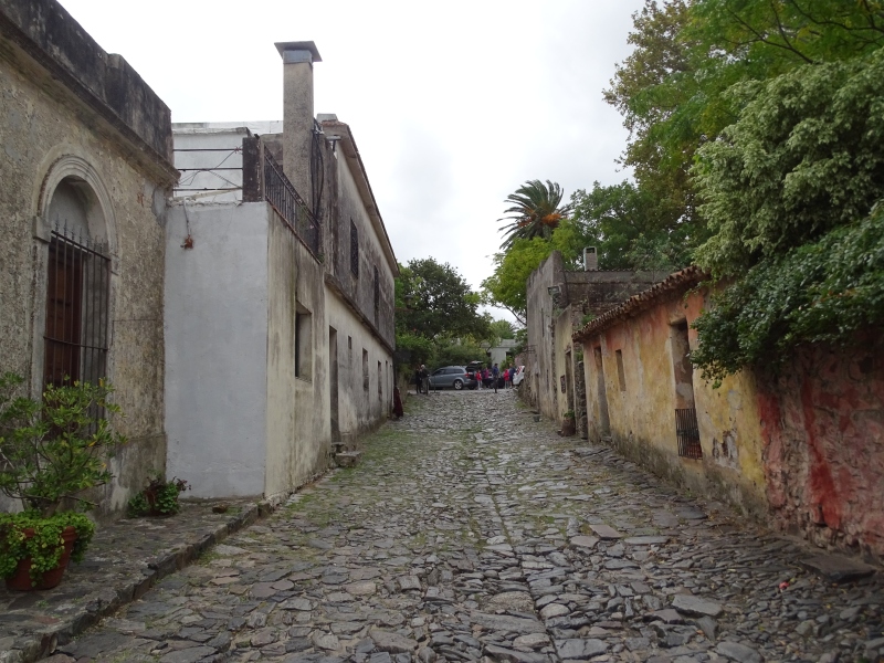 DSC02362.jpg