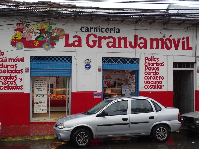 DSC03105.jpg