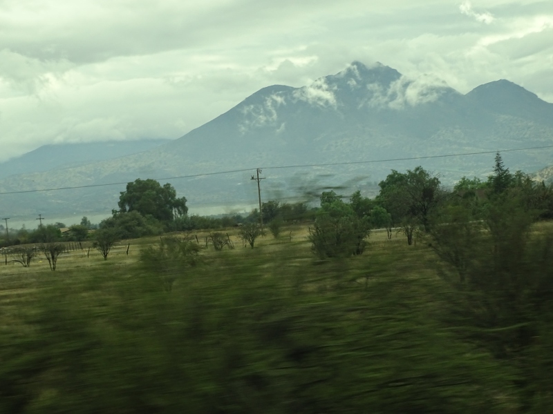 DSC03114.jpg