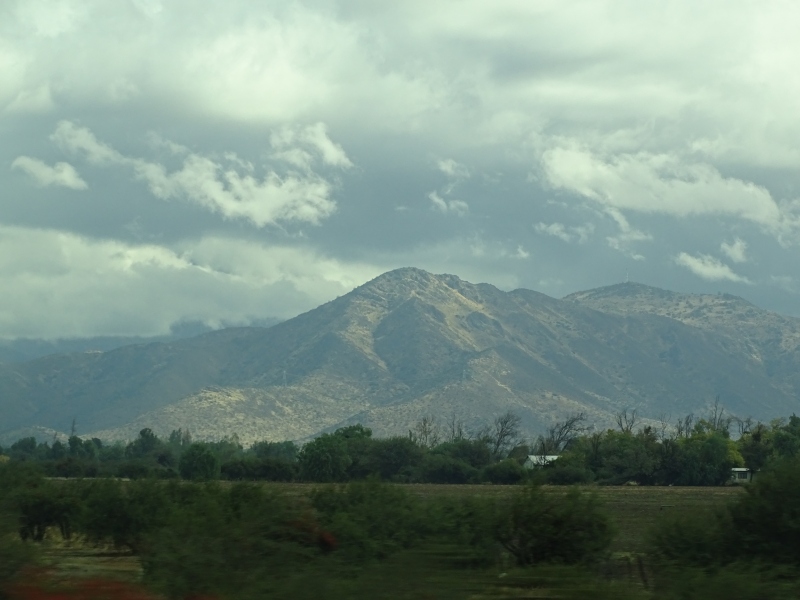 DSC03118.jpg