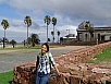 DSC02264.jpg