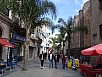 DSC02269.jpg