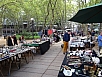 DSC02271.jpg
