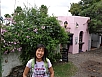 DSC02350.jpg