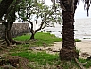 DSC02366.jpg