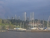 DSC02436.jpg
