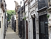 DSC02503.jpg