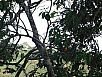 DSC02738.jpg