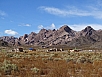 DSC02856.jpg