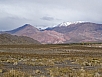 DSC02865.jpg