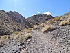 DSC02871.jpg