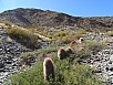 DSC02877.jpg