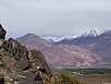 DSC02890.jpg