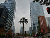 DSC03076.jpg