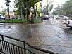 DSC03110.jpg