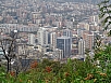 DSC03177.jpg