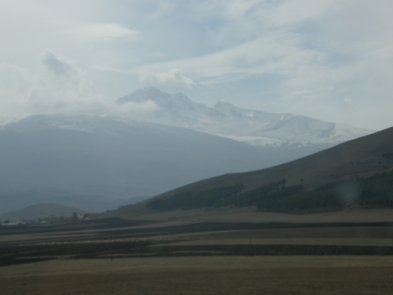 PA280274.jpg