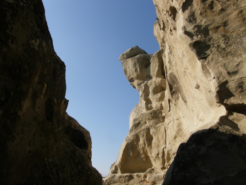 PA310850.jpg