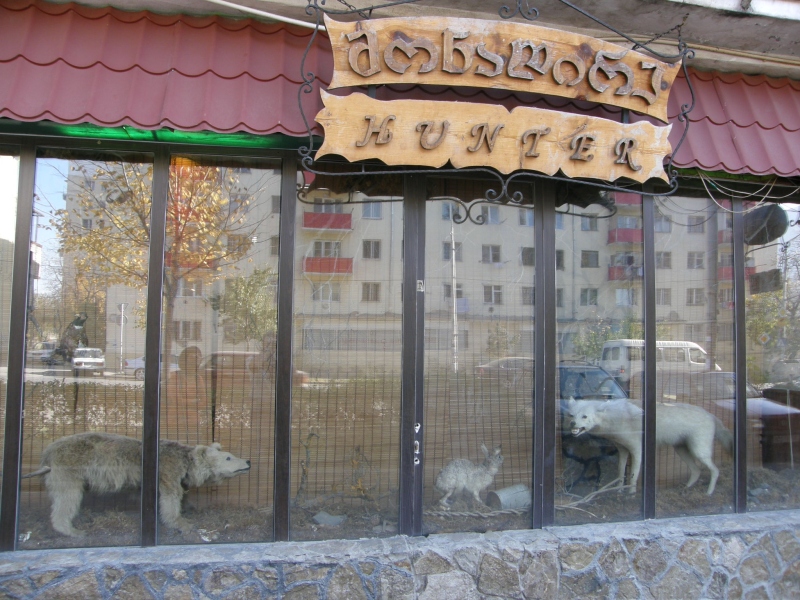 PA310883.jpg
