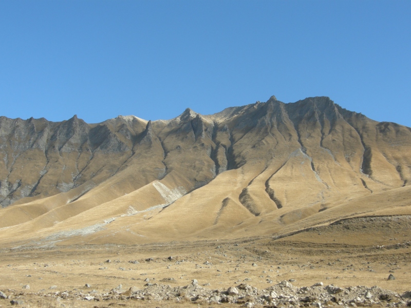 PB011040.jpg