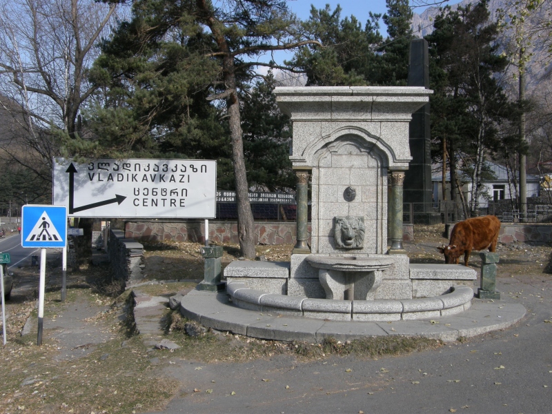 PB011079.jpg