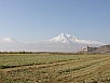 PA290495.jpg