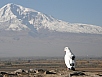 PA290534.jpg