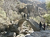 PA300751.jpg