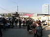 PA310809.jpg