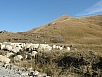 PB011011.jpg