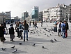 PB021240.jpg