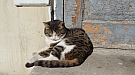 20170224_113315.jpg
