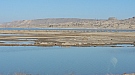 20170225_101717.jpg