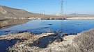 20170225_134651.jpg